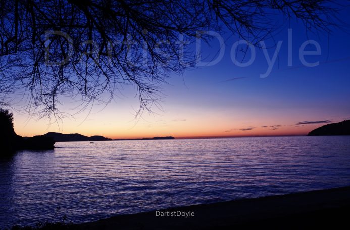 Coucher de soleil sur une mer calme avec des silhouettes d'arbres au premier plan.