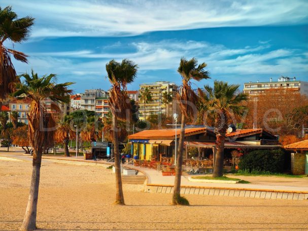 Plage avec palmiers, maisons colorées et ciel bleu parsemé de nuages.